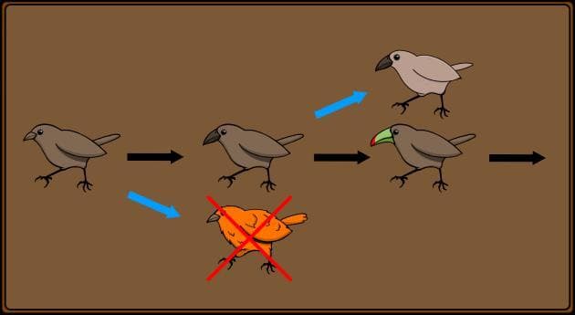 Evolution - Cards Through The Ages screenshot 5