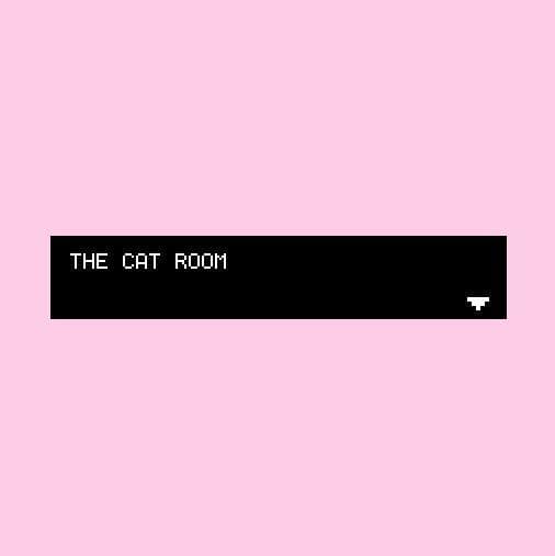 THE CAT ROOM