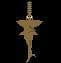 Extinction of the Sawfish