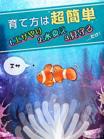 Clownfish Aquarium