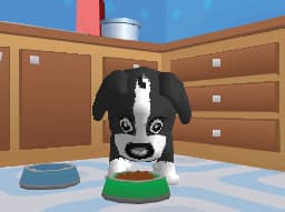 Dora & Kai-lans Pet Shelter screenshot 5