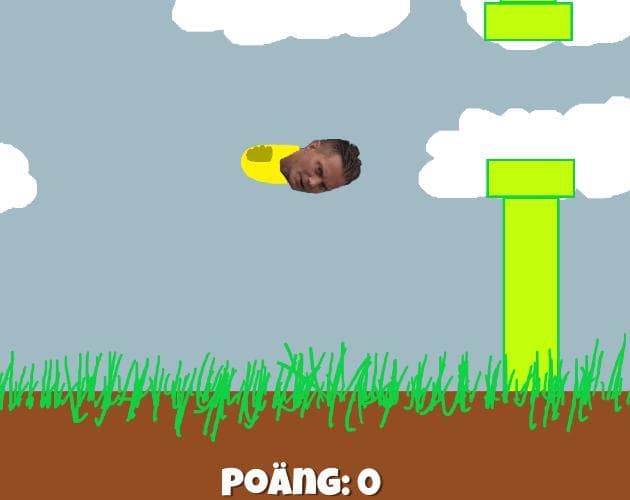 FlappyJagger