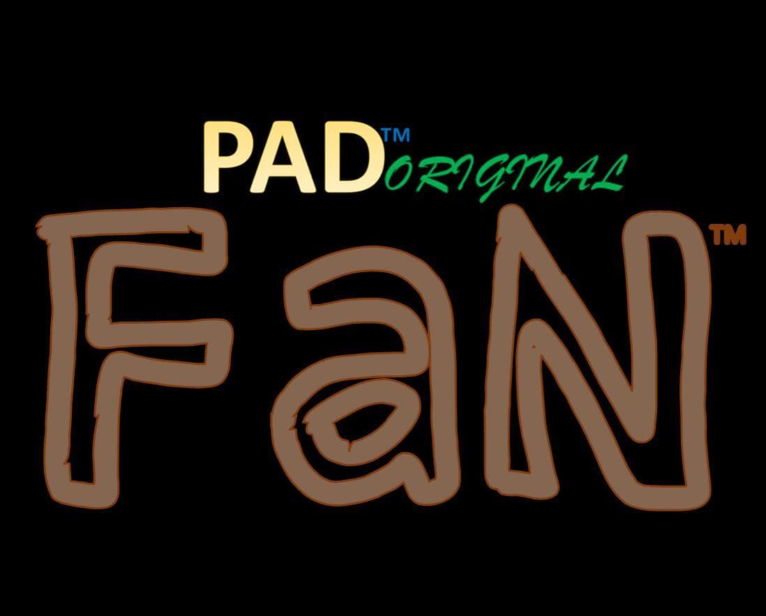 FaN (PROTOTYPE)
