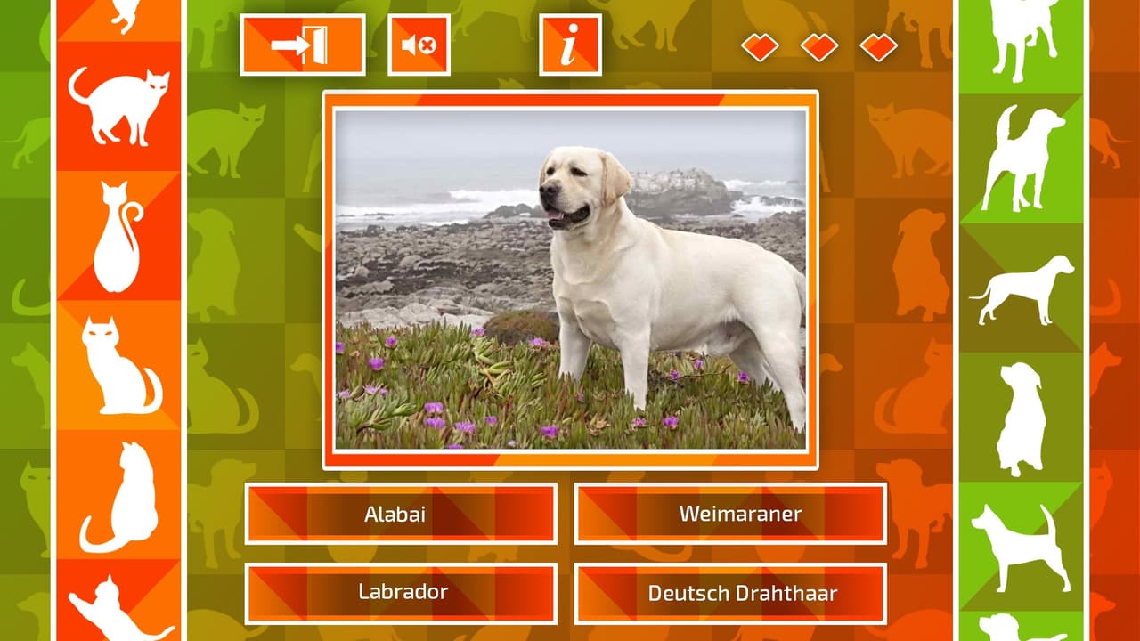 JQ: dogs & cats screenshot 4