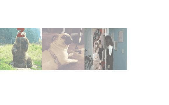 Des gifs et des lettres
