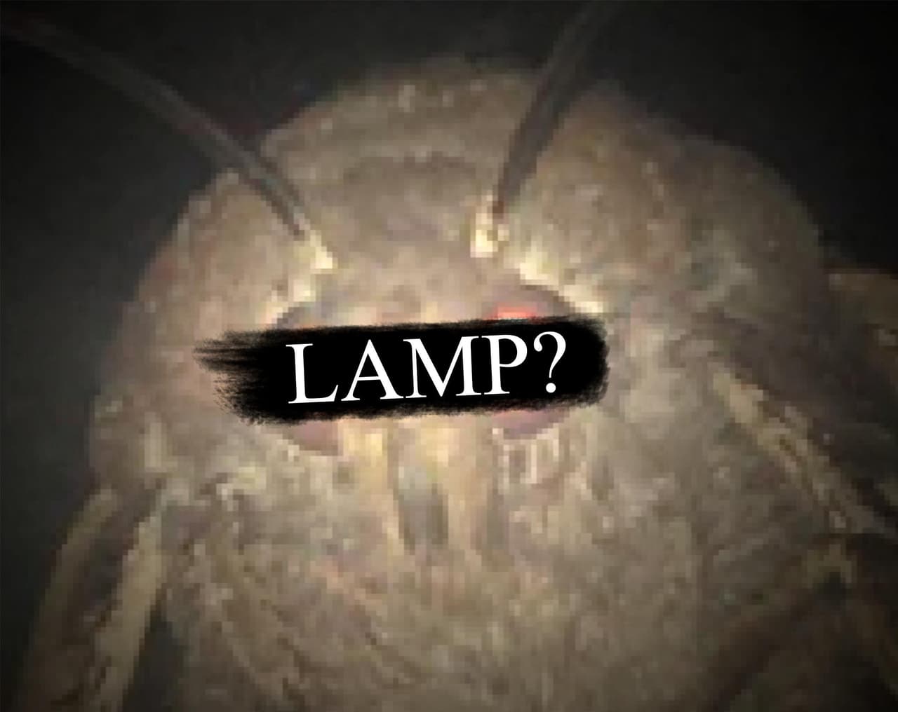 Lamp?