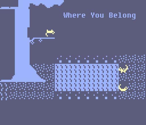 Where You Belong