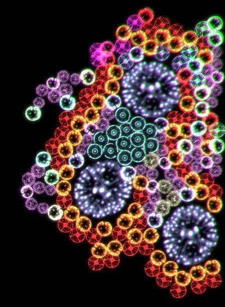 Microarium