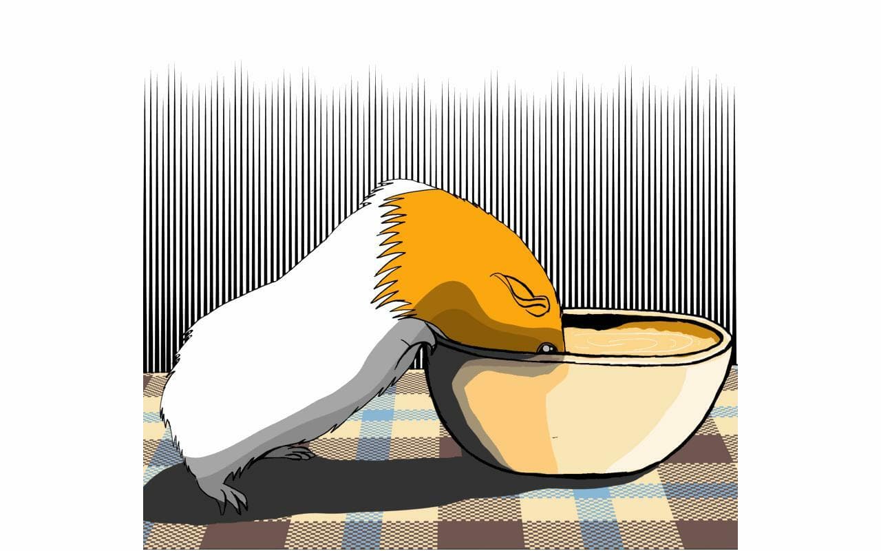 The Guinea Pig Game