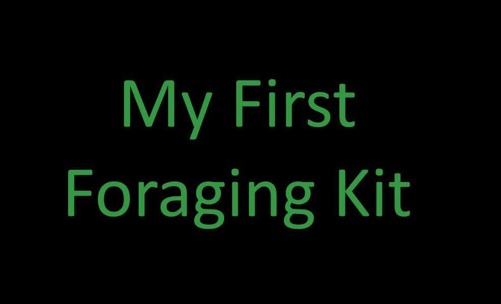 My First Foraging Kit