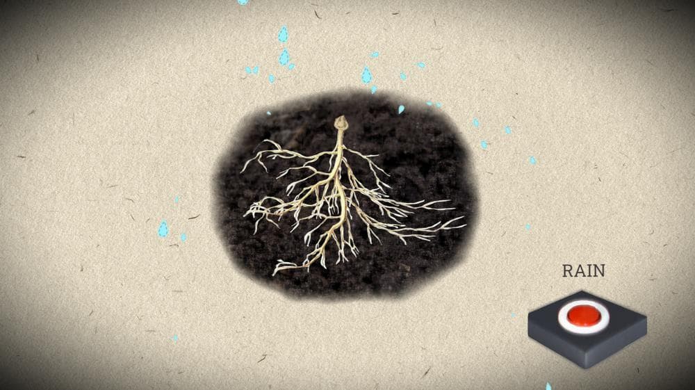 Dispersal Vectors screenshot 2