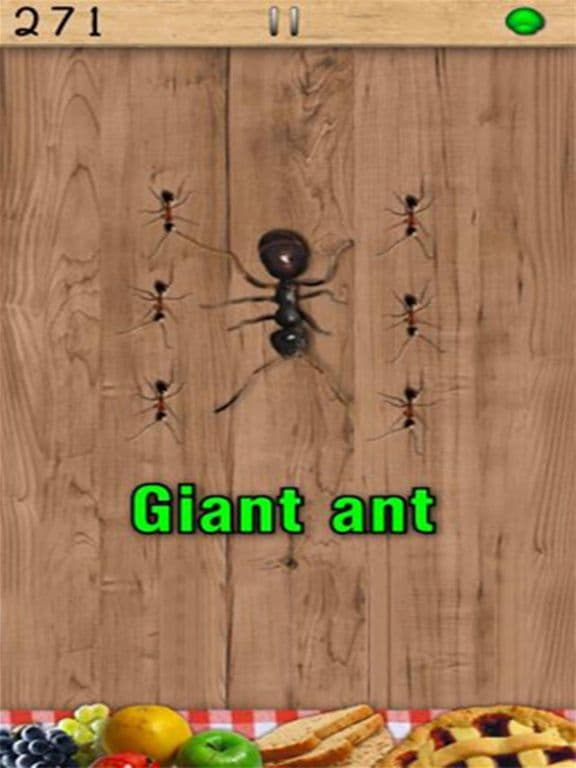 Ant Smasher screenshot 4