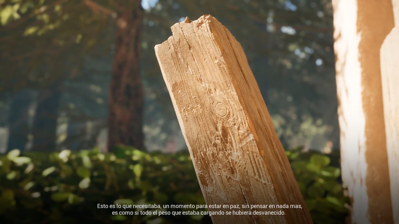 Mentes y Lienzos screenshot 4