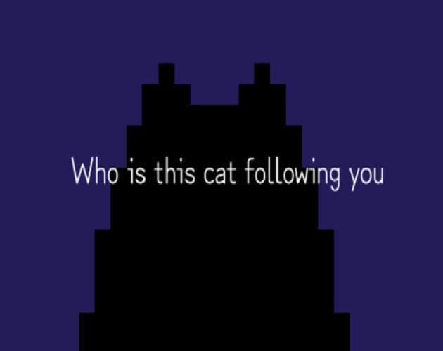 Who is this cat following you