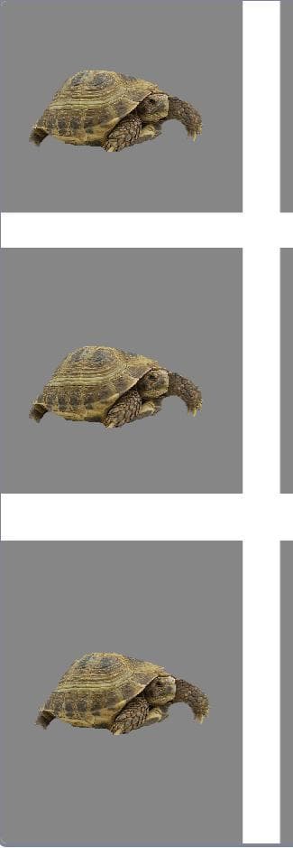 TURTLE RACE (Fire_turtleGamer) screenshot 2