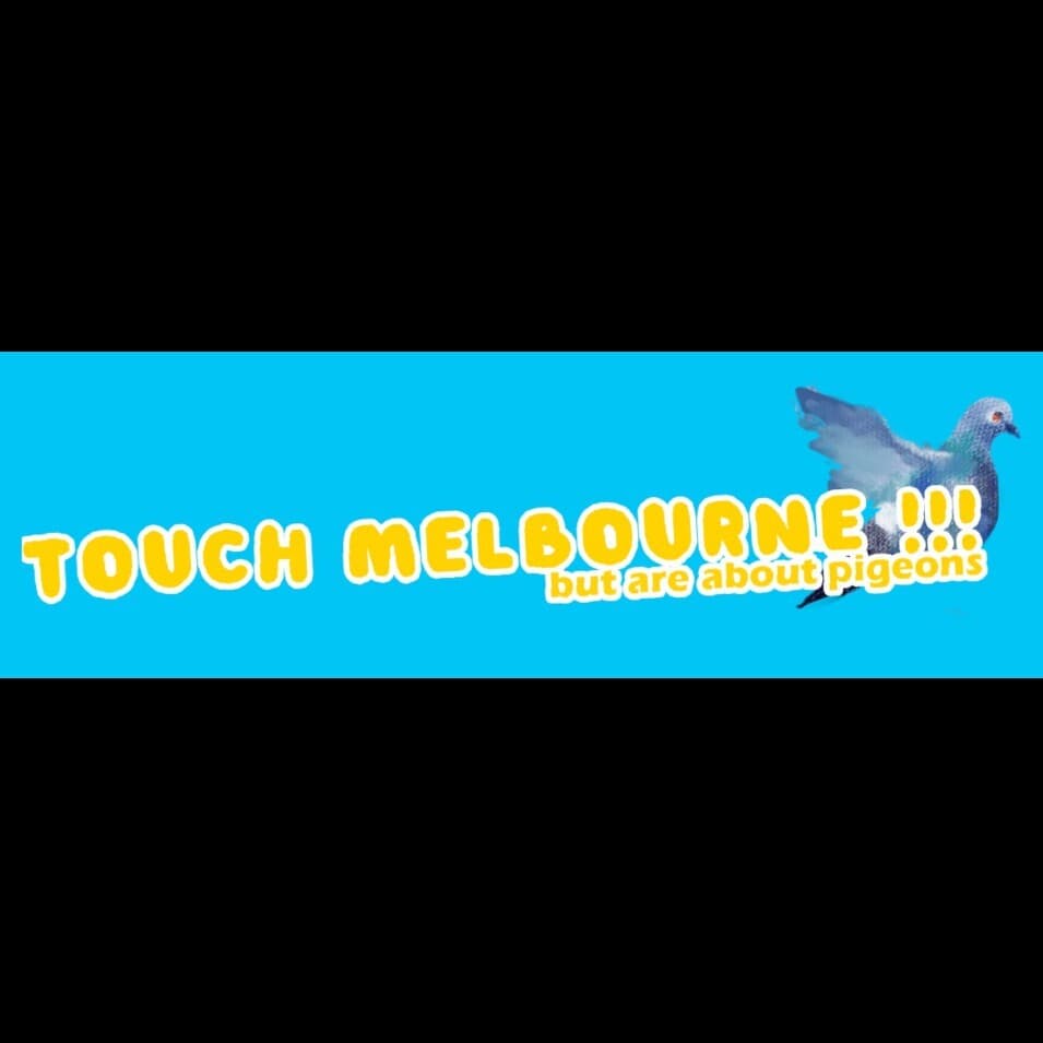 Touch Melbourne!!! But Are About Pigeons