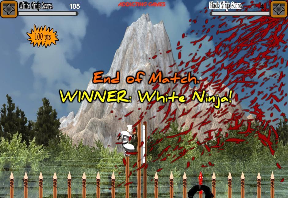 Ninja Volleyball HD