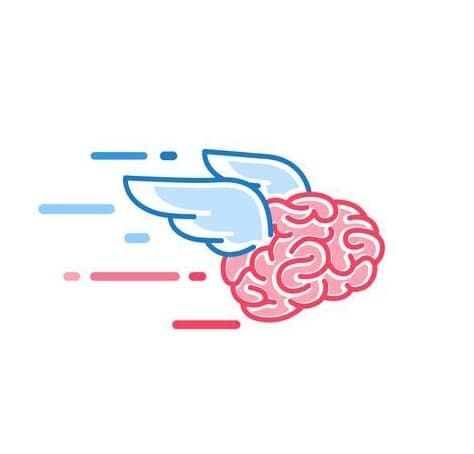 FlyBrain