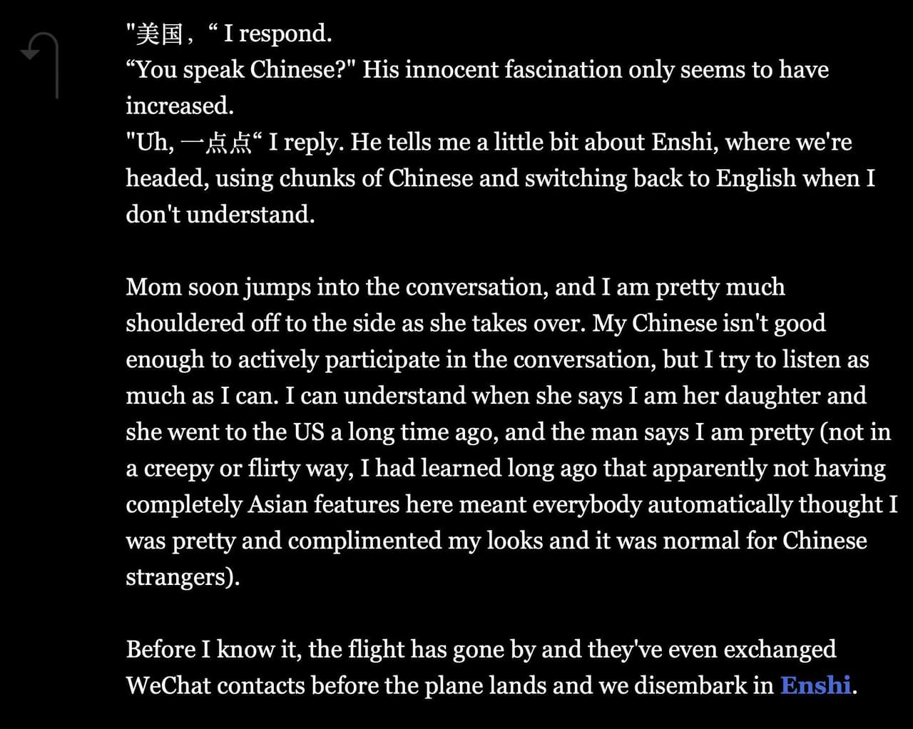 Business Class: A Travel Misadventure screenshot 6