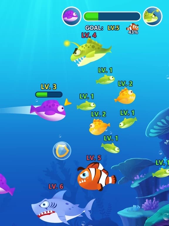 Ocean Fish Evolution