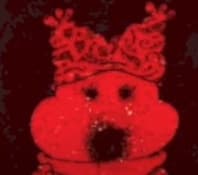 CHOWD