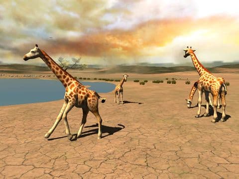 Africa Wild screenshot 3