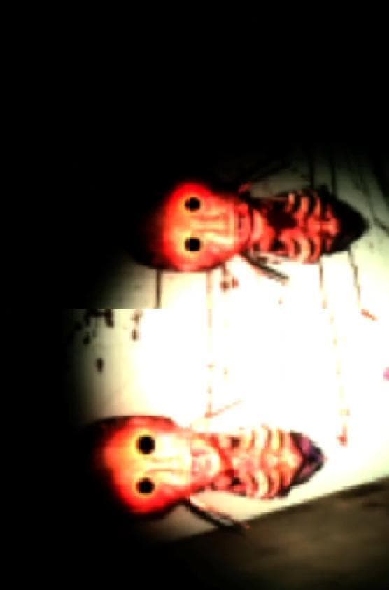 HELLICA