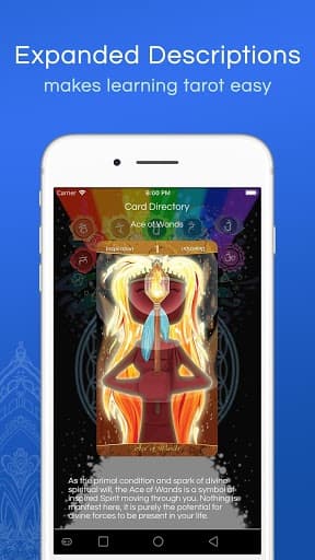Patch Tarot screenshot 6