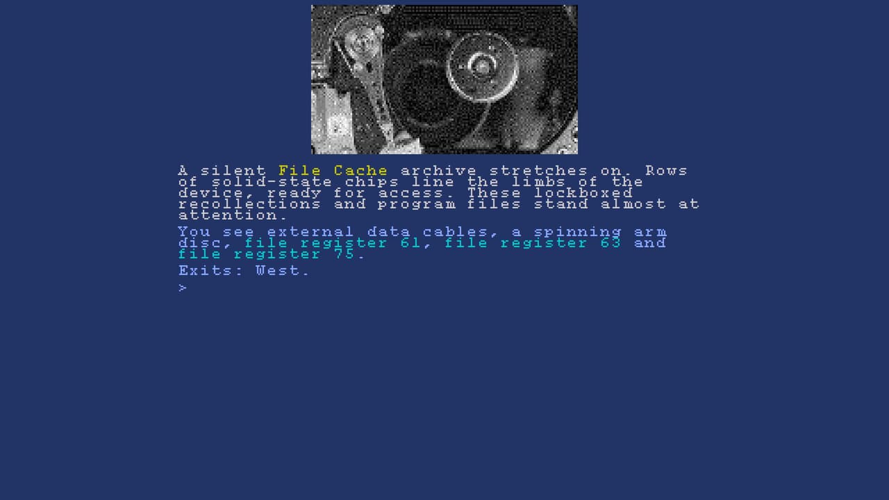 CMD
