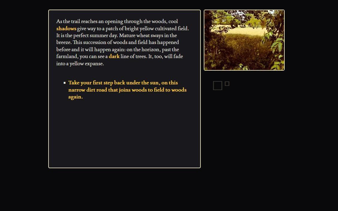 This is a black parallelepipedon in a yellow field screenshot 2