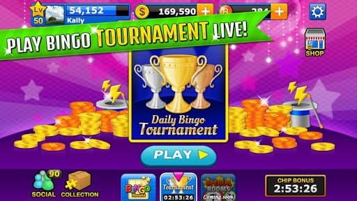 Bingo Craze screenshot 5