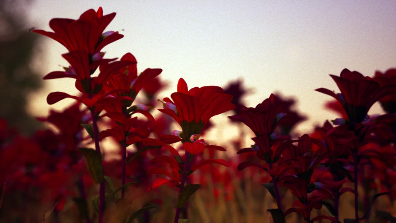 Petals (Petals Game) screenshot 5