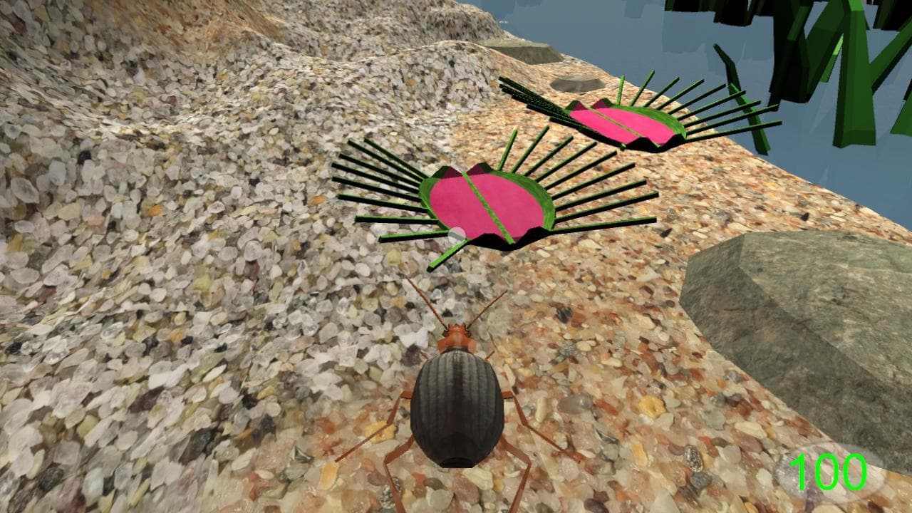 Bombardier Beetle screenshot 6
