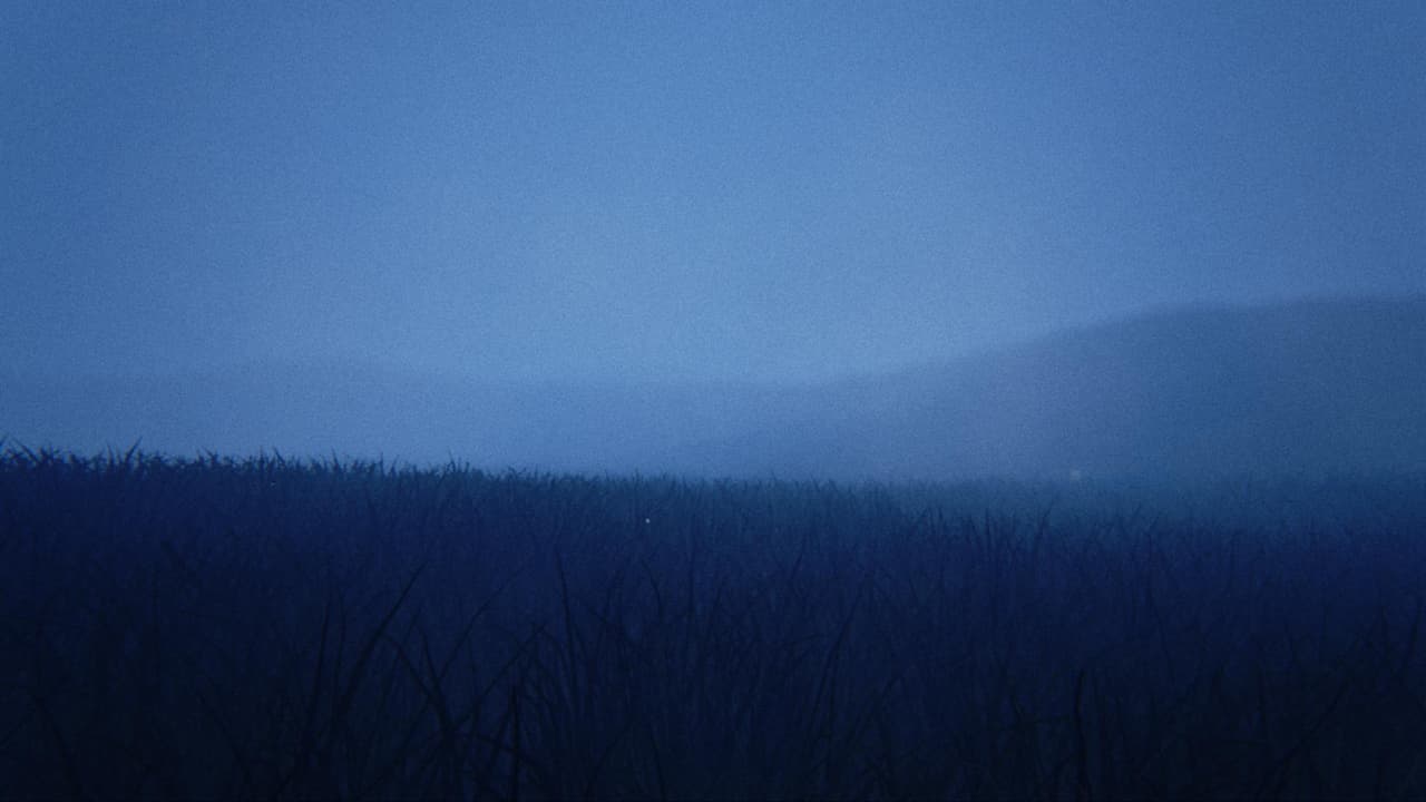 Contours of a Dream screenshot 3