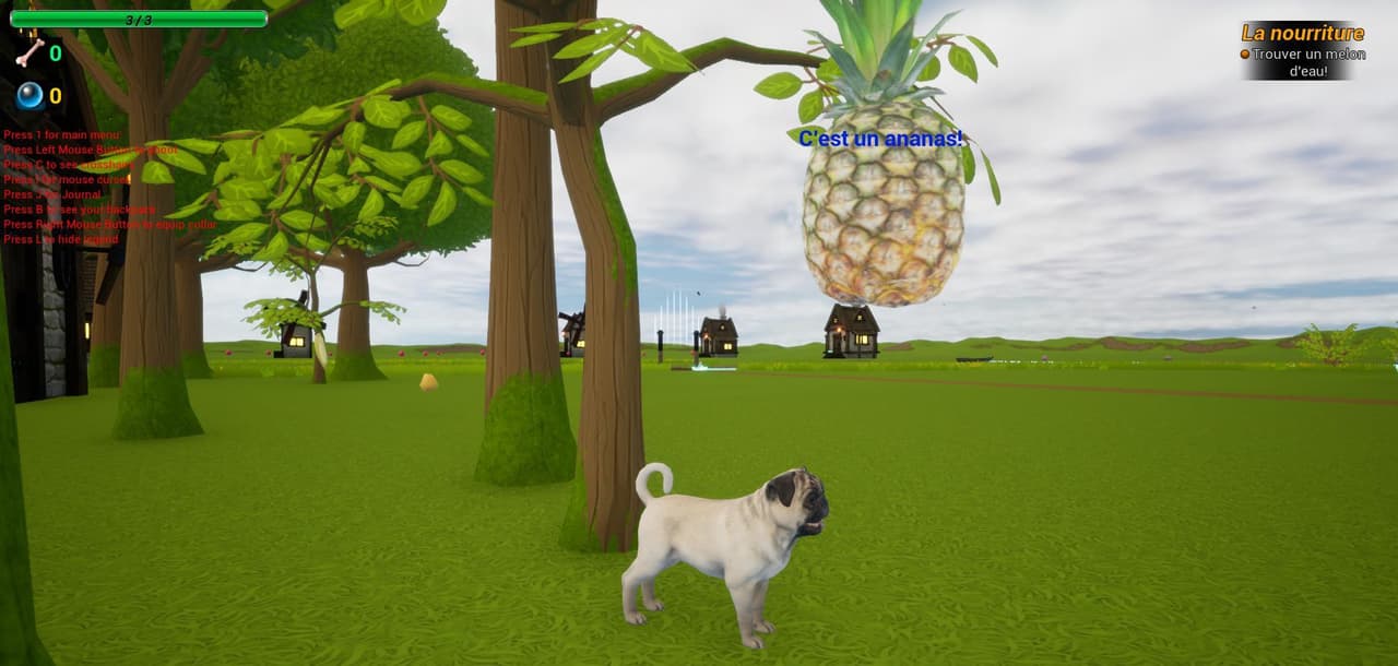French Language Exploration with Joe the Pug