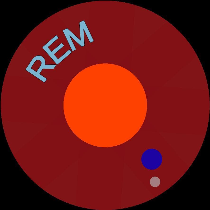 REM (kg6422)