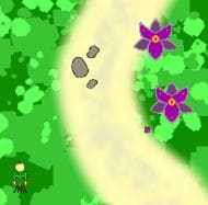 Chrysanthemum Rage