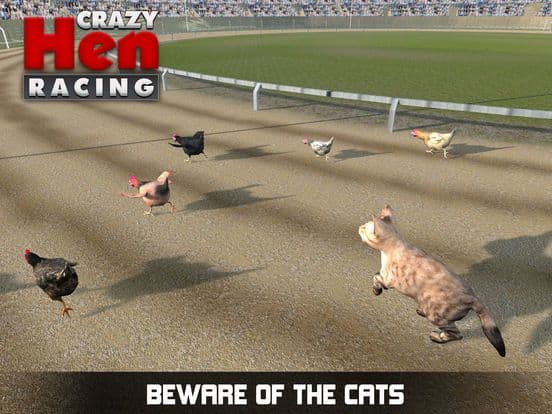 Hen Racing Simulator - Race Free Range Chickens screenshot 3
