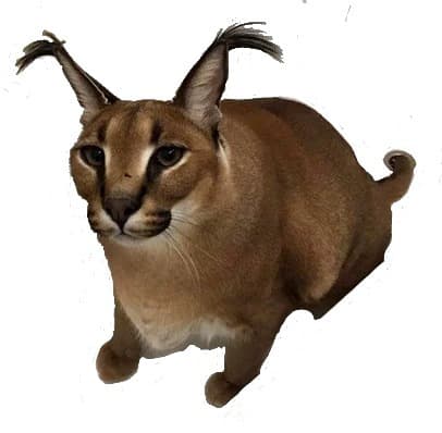 TDENTER Beta