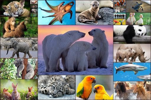 Animals Jigsaw Puzzles Game - For Kids & Adults 🐇 screenshot 2