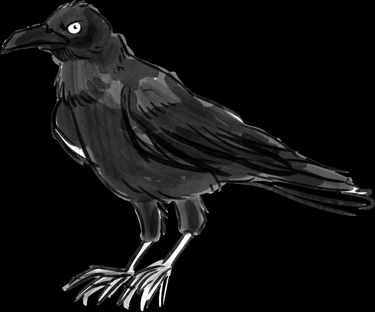 Noppys Mysterious Crow