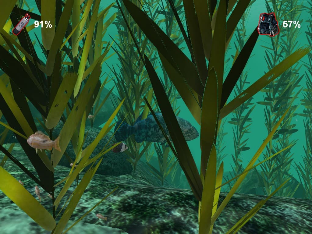 Check Dive screenshot 2