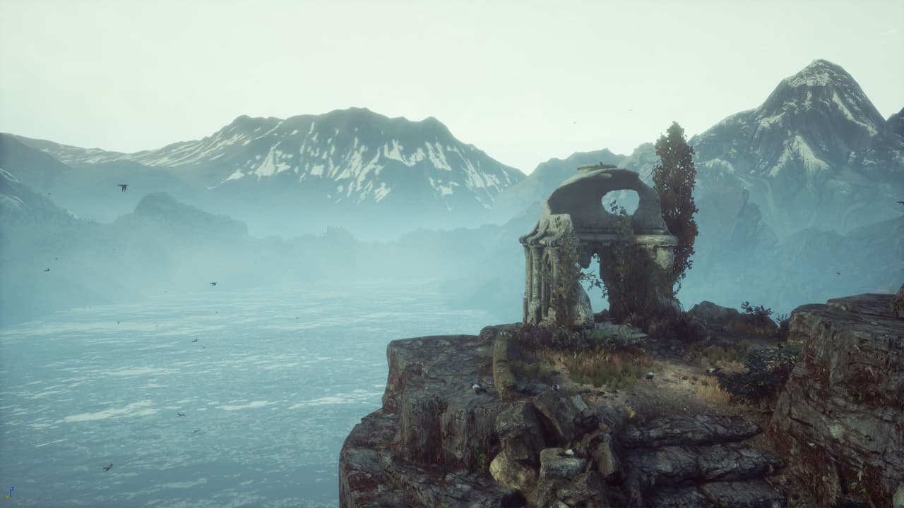 The Dead Tree of Ranchiuna