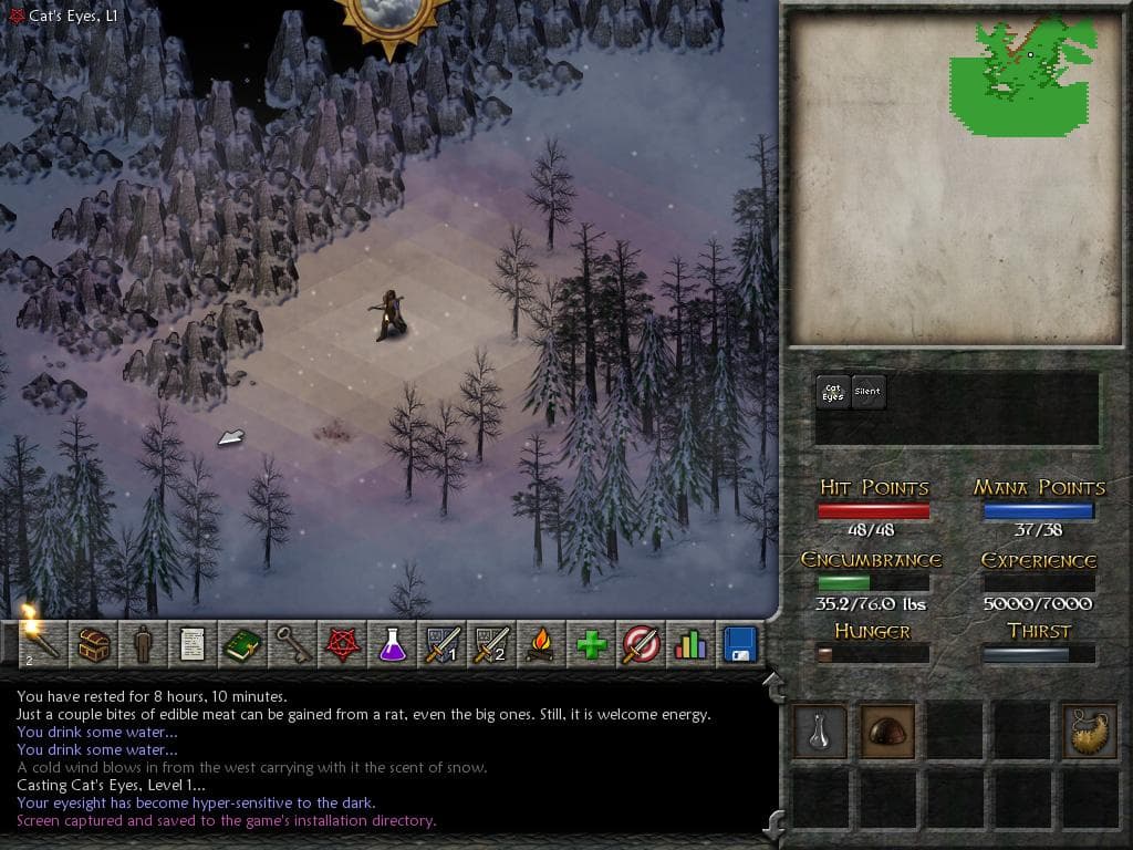 Eschalon: Book II screenshot 3