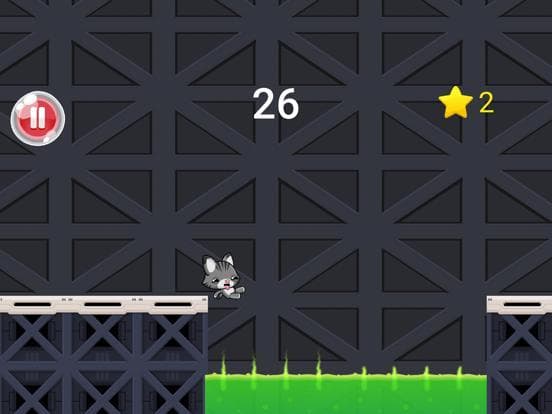 Daredevil Cat - Rush Road screenshot 3