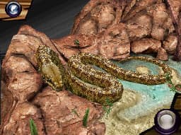 Discovery Kids Snake Safari screenshot 3