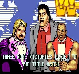 WWF Superstars screenshot 4