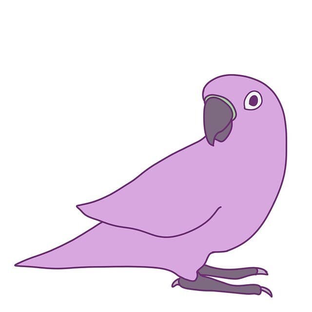 Simpson_D_Polly the Parrot_A Duck It Spinoff