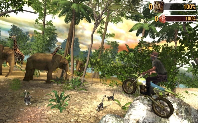 Safari: Online Evolution