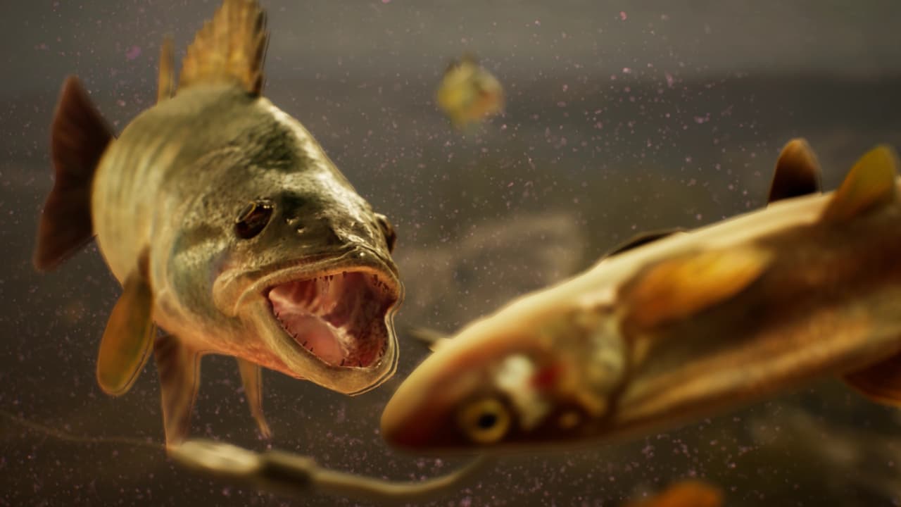 The Catch: Carp & Coarse screenshot 6